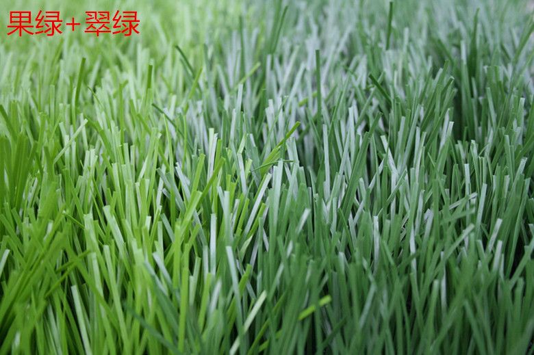  尼斯主场草皮质量问题频发，俱乐部承诺彻底整改  